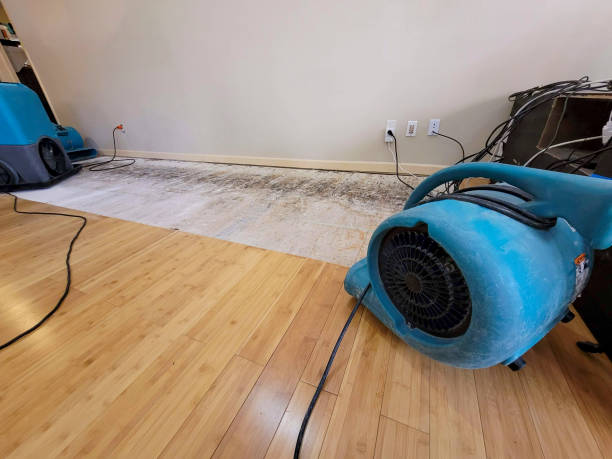 Professional Flood Damage Cleanup technician working in Fairplay, GA